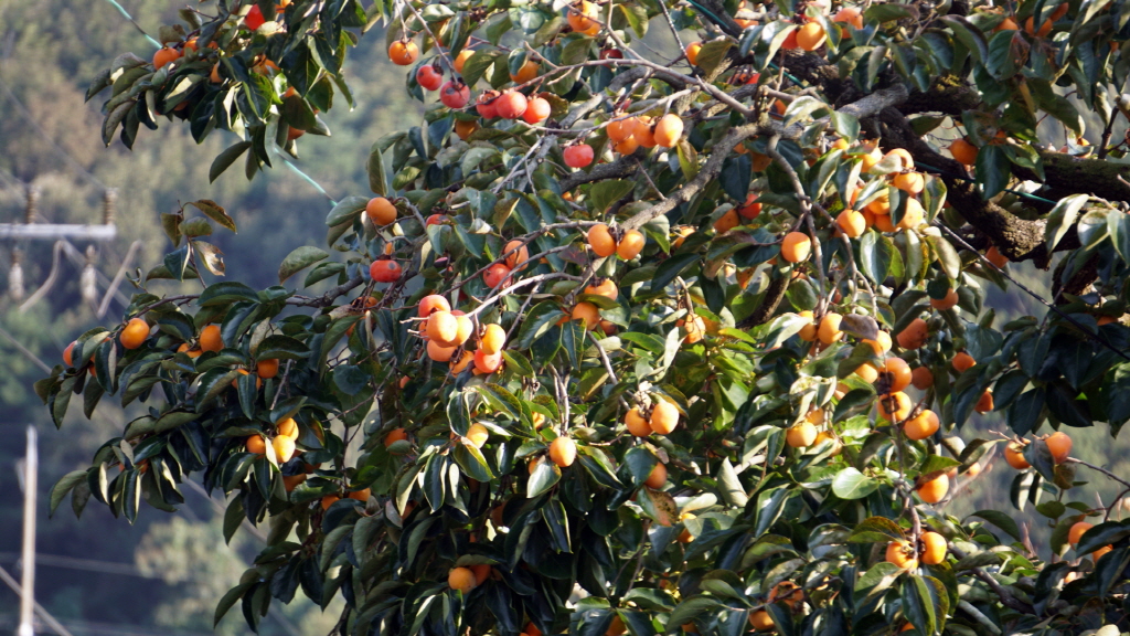 img.jpg?credential=yqXZFxpELC7KVnFOS48yl