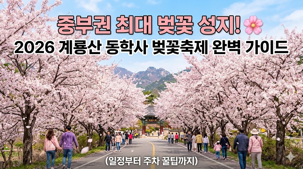 공주 벚꽃