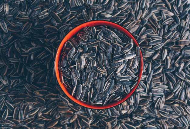 탈모에좋은해바라기씨1