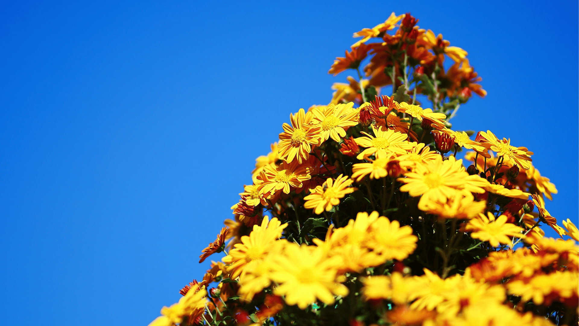 11월에 떠나는 국내 가을 여행지 추천