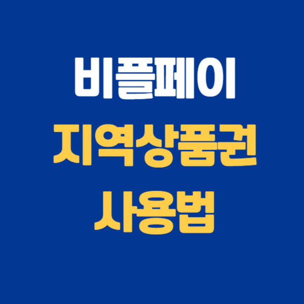 비플페이 지역상품권 사용법