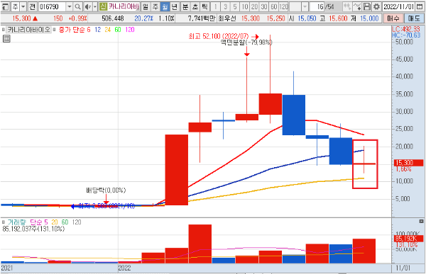 카나리아바이오 월봉 차트