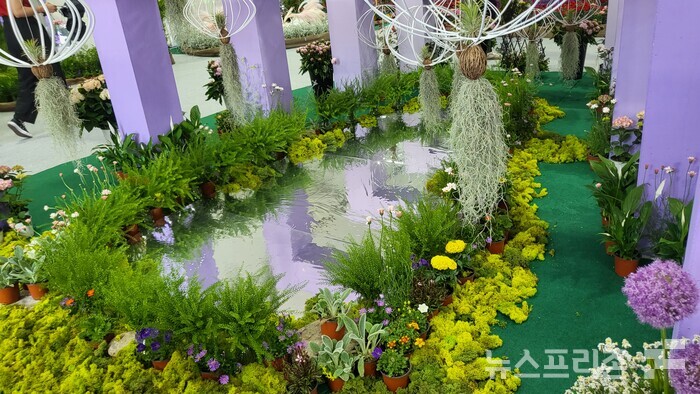 [5월 축제]창포원❘2025 거창에 온 봄 축제, 아리미아꽃축제,거창한 산양삼 축제