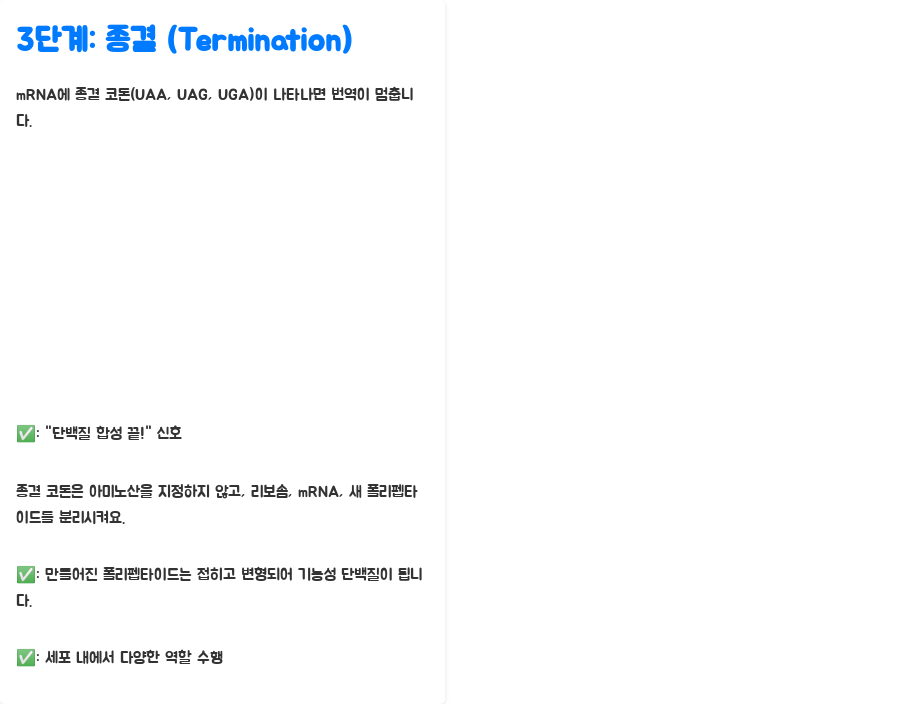 분자생물학 번역 메커니즘: 단백질 합성의 비밀, 밝혀보세요! - 번역 메커니즘: mRNA의 코돈이 단백질 언어로 바뀌는 과정 - 3단계: 종결 (Termination) - 번역의 마침표 분자생물학 번역 메커니즘: 단백질 합성의 비밀, 밝혀보세요! - 번역 메커니즘: mRNA의 코돈이 단백질 언어로 바뀌는 과정 - 3단계: 종결 (Termination) - 번역의 마침표