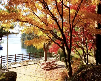 청남대 홈페이지 예약 접수_14