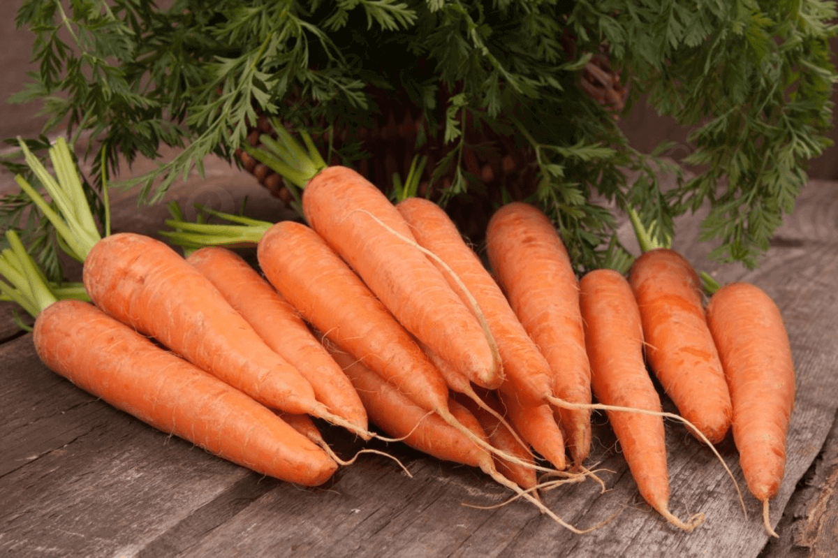 영양소가 고르게 포함된 채소로, 균형 잡힌 식단의 중요한 구성 요소로 손꼽힙니다
