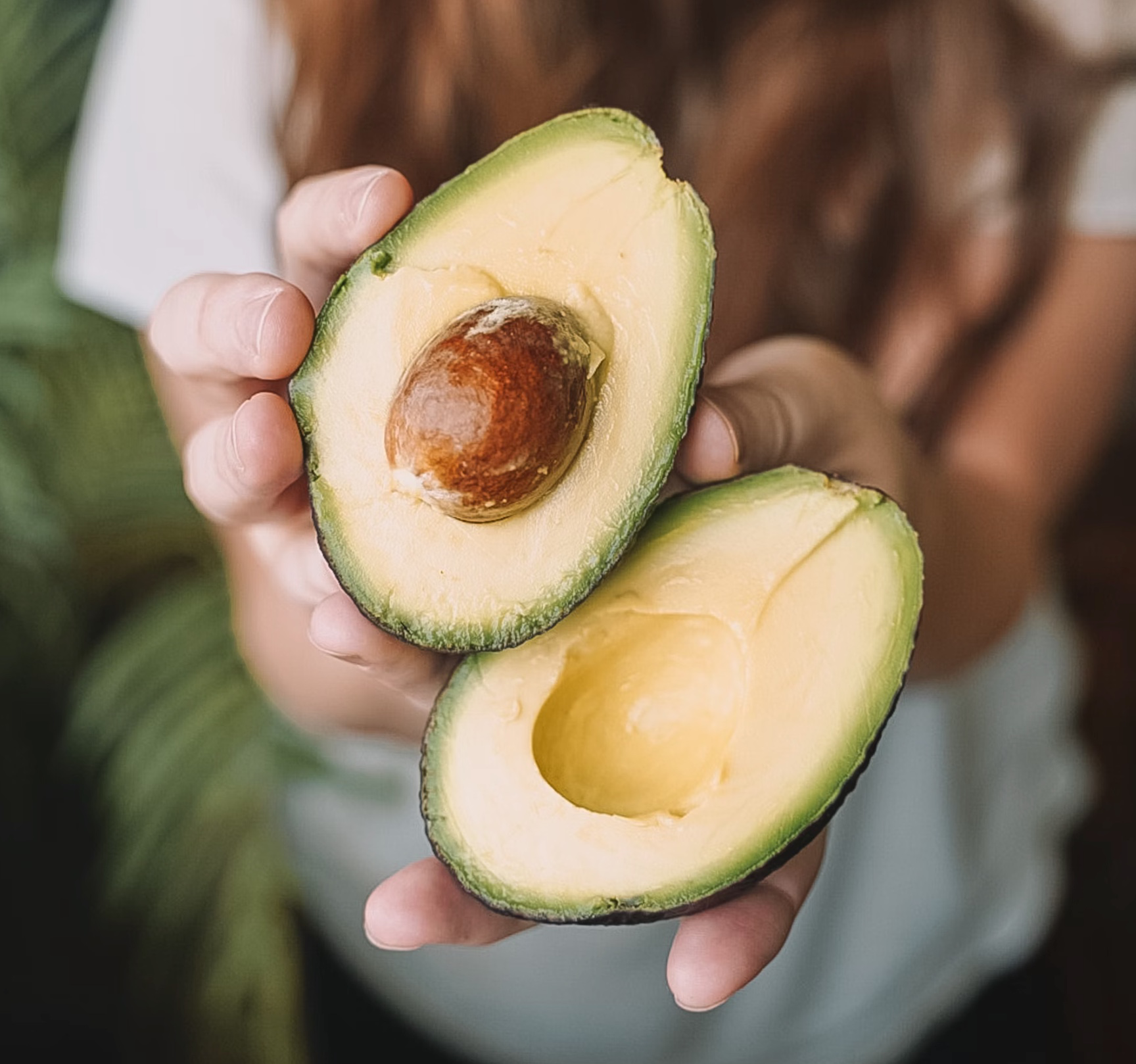 후숙 아보카도 보관 방법