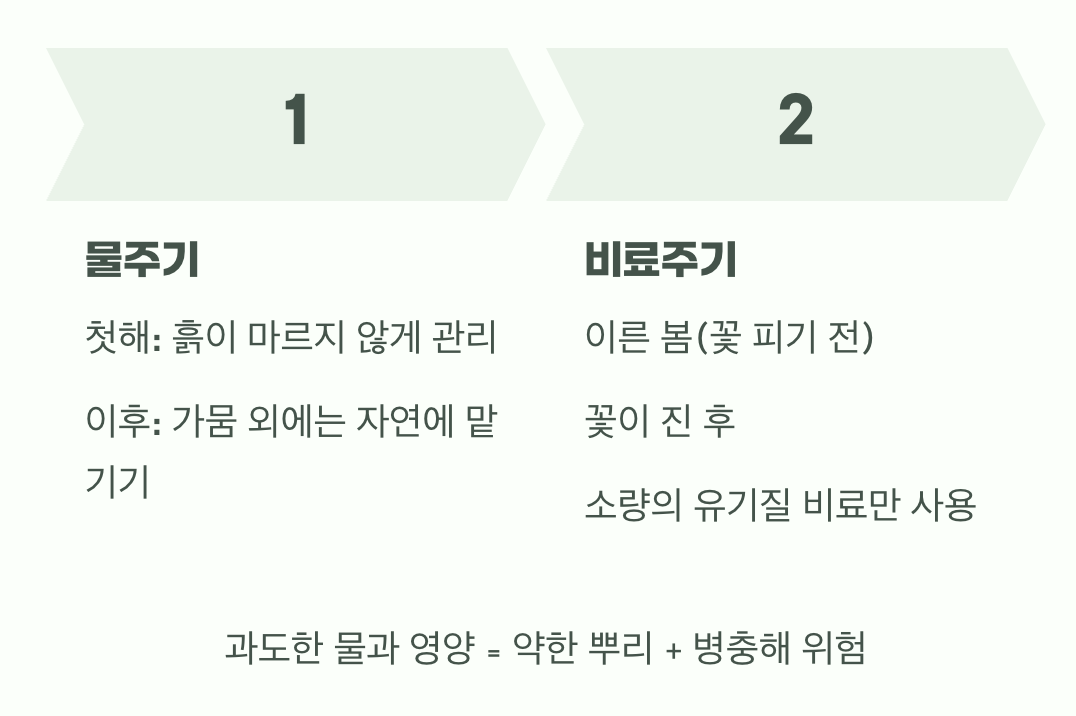 과유불급, 물과 비료