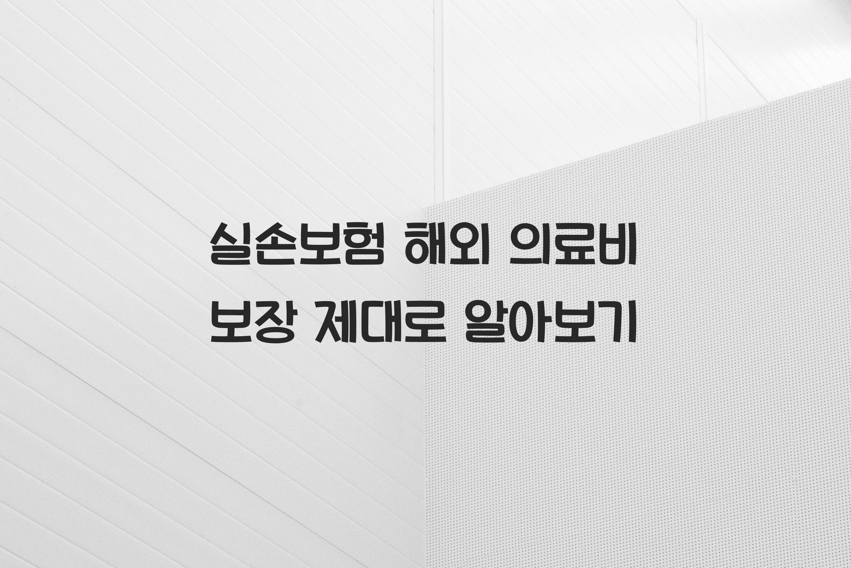 실손보험 해외 의료비 보장