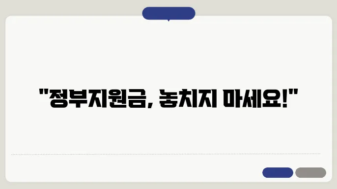 부정수급을 피하는 스마트한 방법! 정부지원금 이해하기