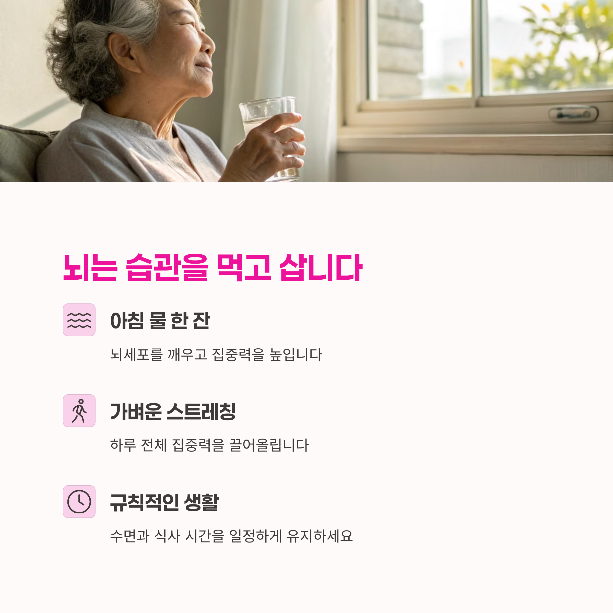 기억력 개선,