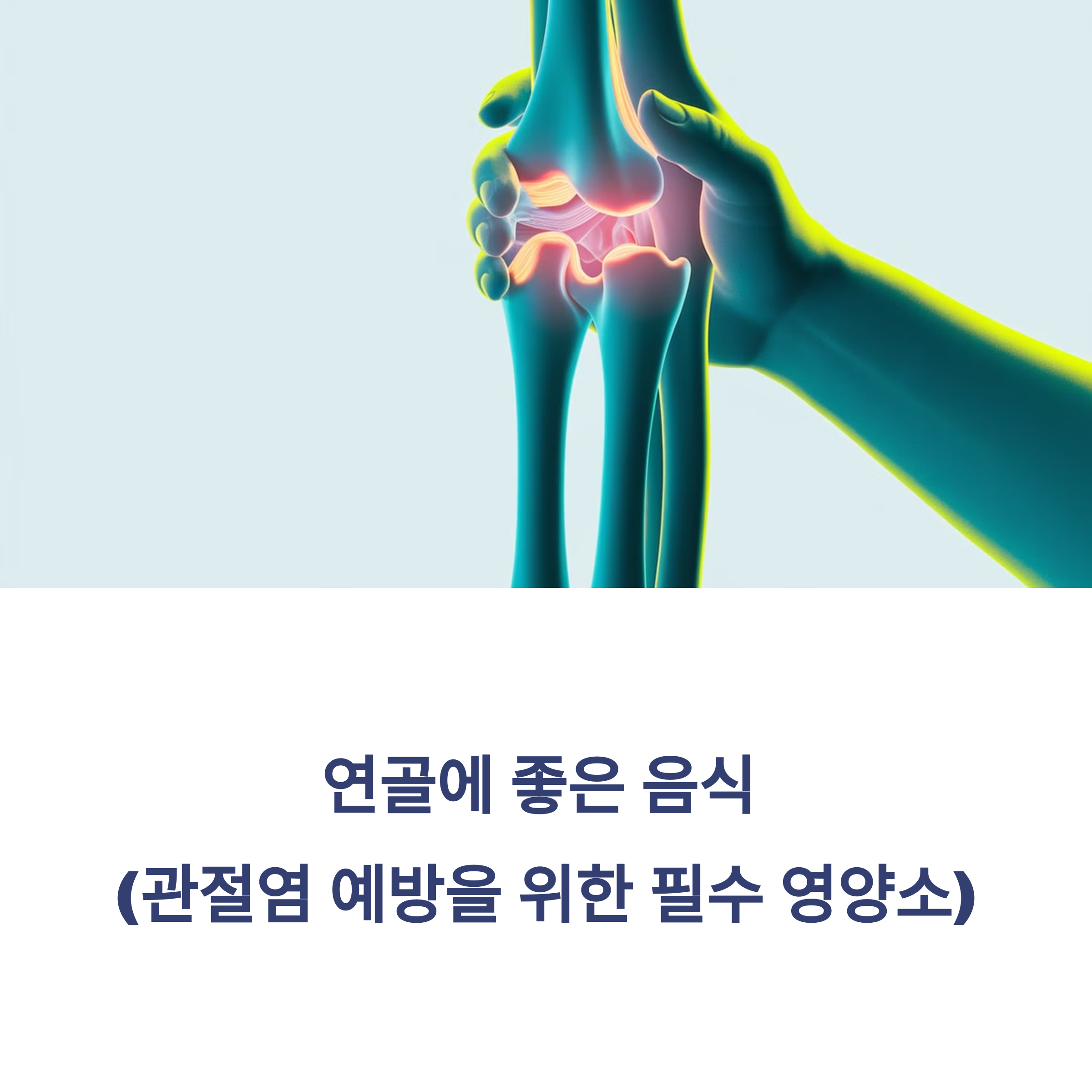 연골에 좋은 음식 (관절염 예방을 위한 필수 영양소)