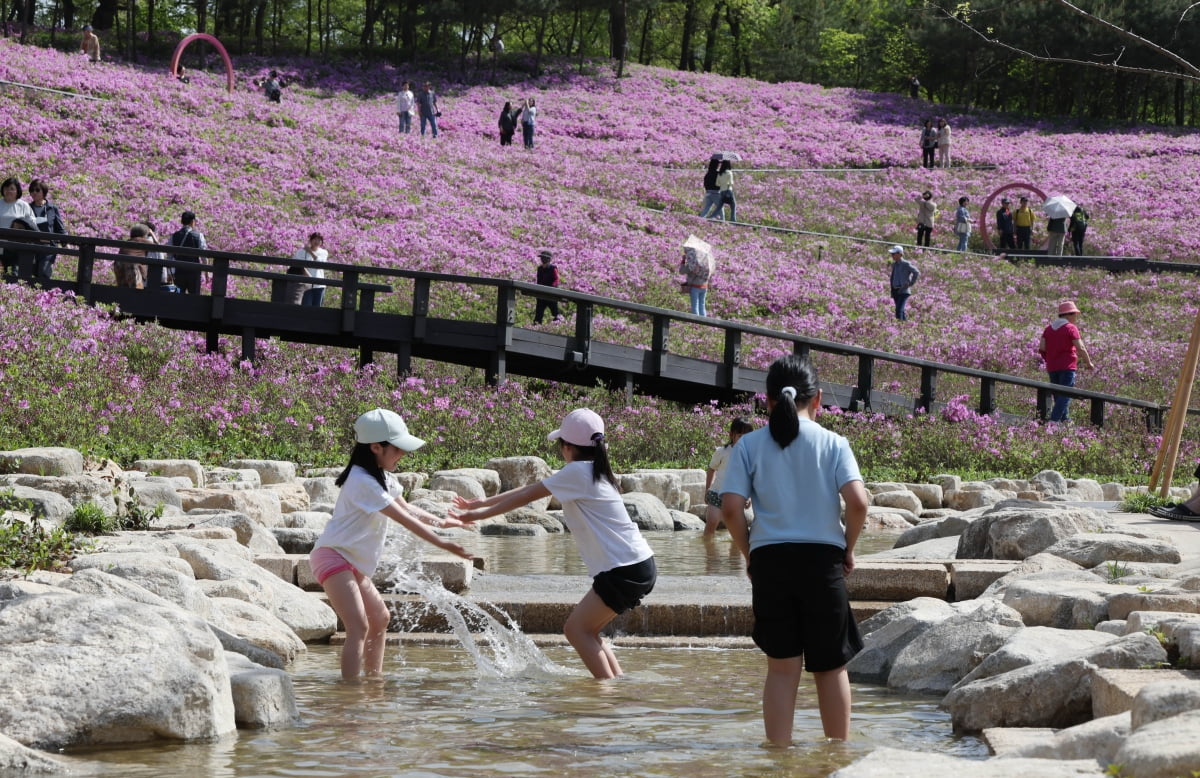 불암산-철쭉제