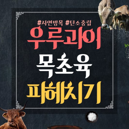 우루과이목초육