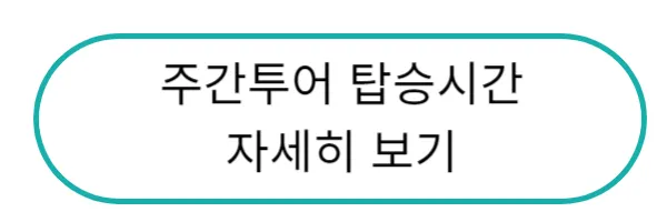 주간투어 탑승시간
자세히 보기