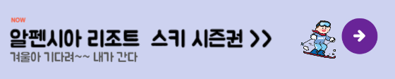 알펜시아 시즌권