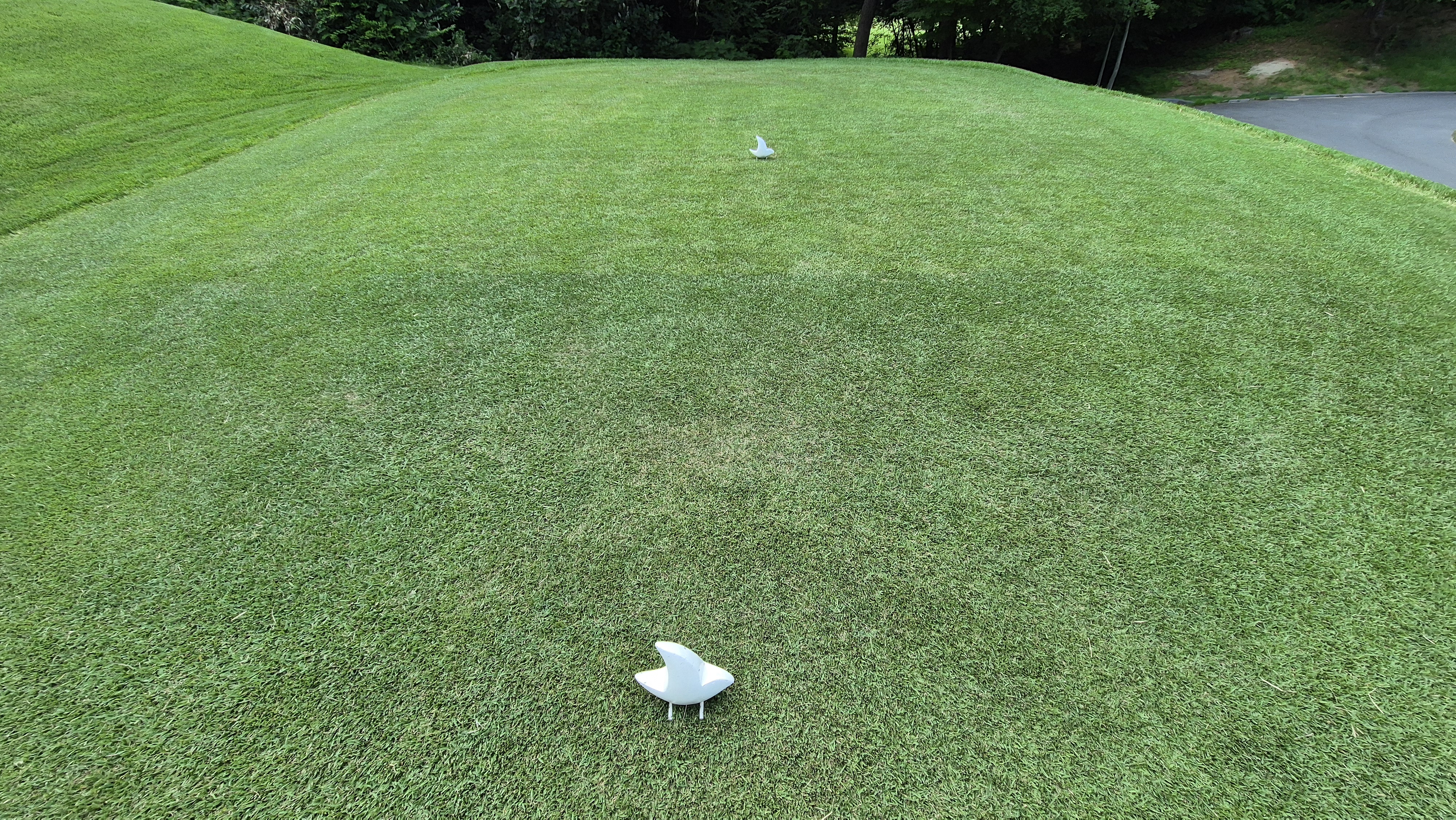 한성cc 오렌지-그린 코스 라운드 후기