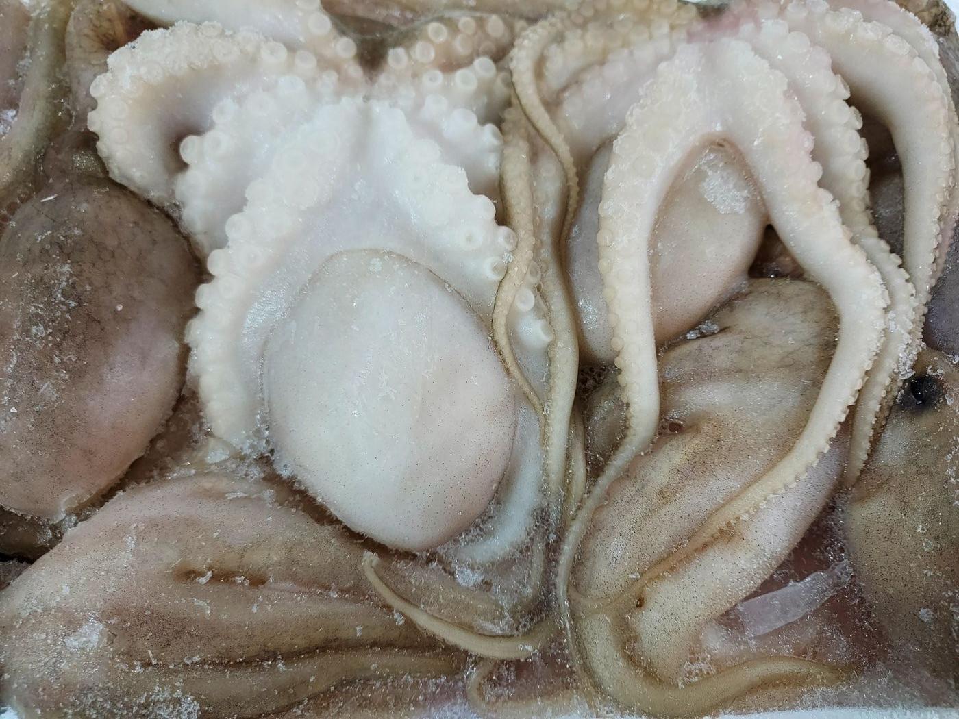 쭈꾸미 봄철 대표 건강 음식(효능, 요리 방법)