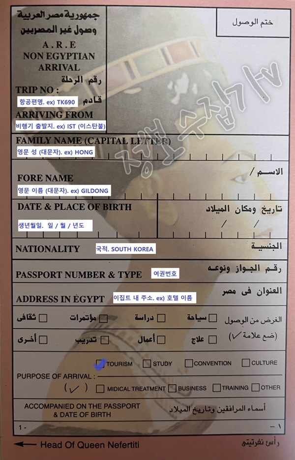 이집트 입국 신고서