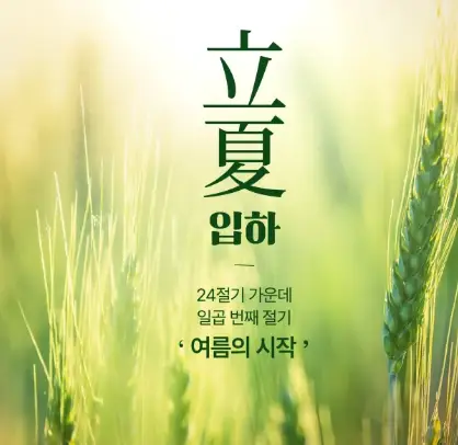 입하-여름-시작