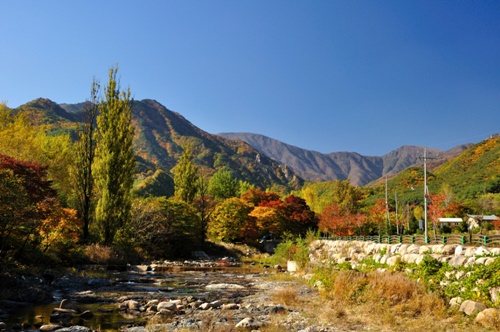 강원도 가볼만한곳 이미지 입니다.