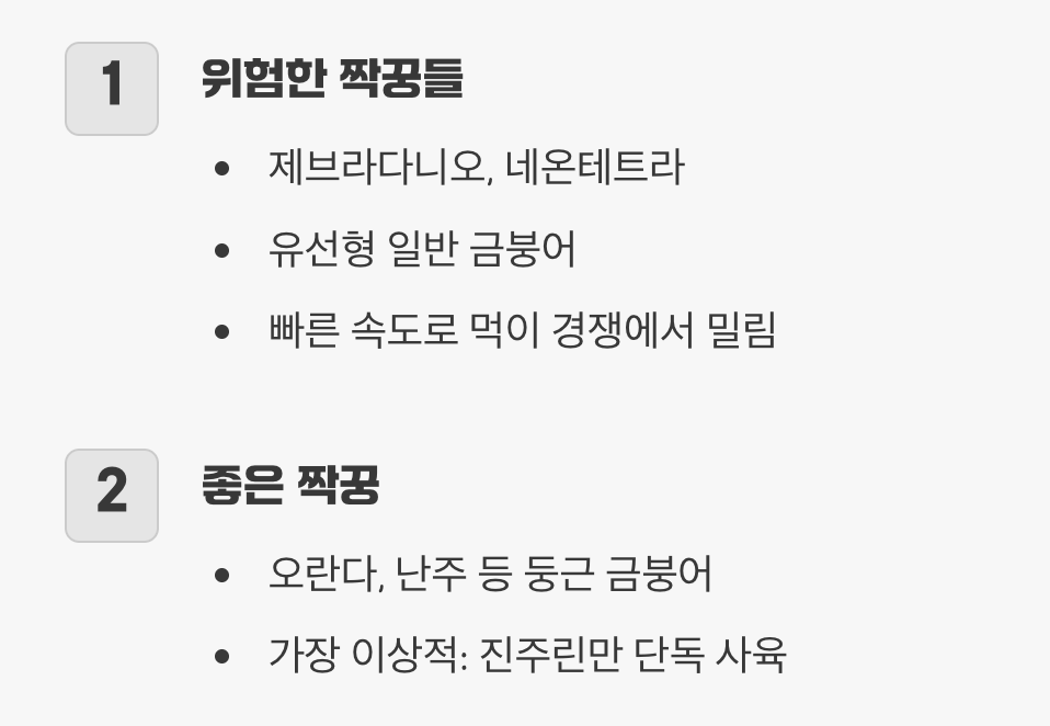 2. 느림보 친구를 괴롭히는 '잘못된 짝꿍'