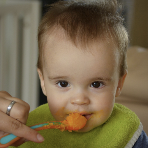 아기의 혀와 입 구조가 미각 발달에 미치는 영향