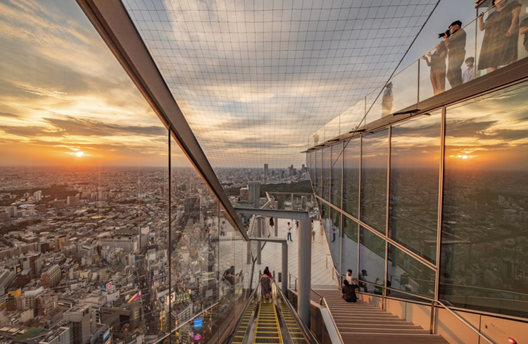시부야 스크램블 스퀘어 전망대