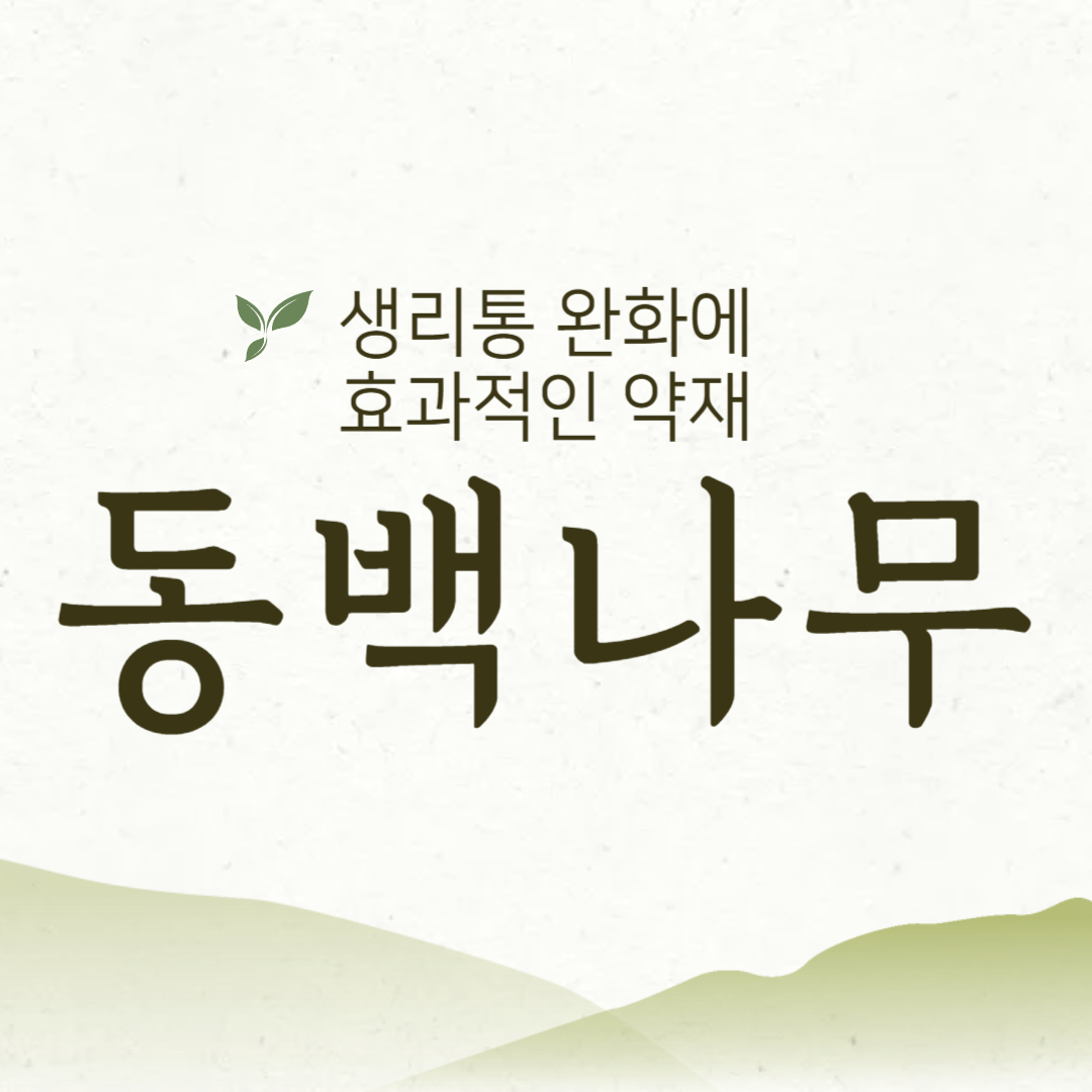 생리통 완화에 효과적인 동백나무
