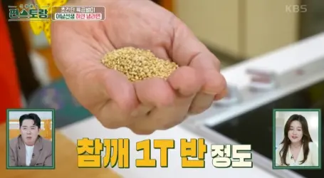 류수영 하얀냉라면