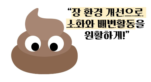 돼지감자차 효능과 부작용