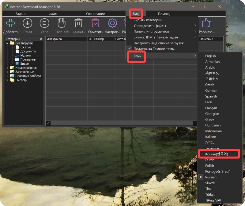 인터넷 다운로드 매니저