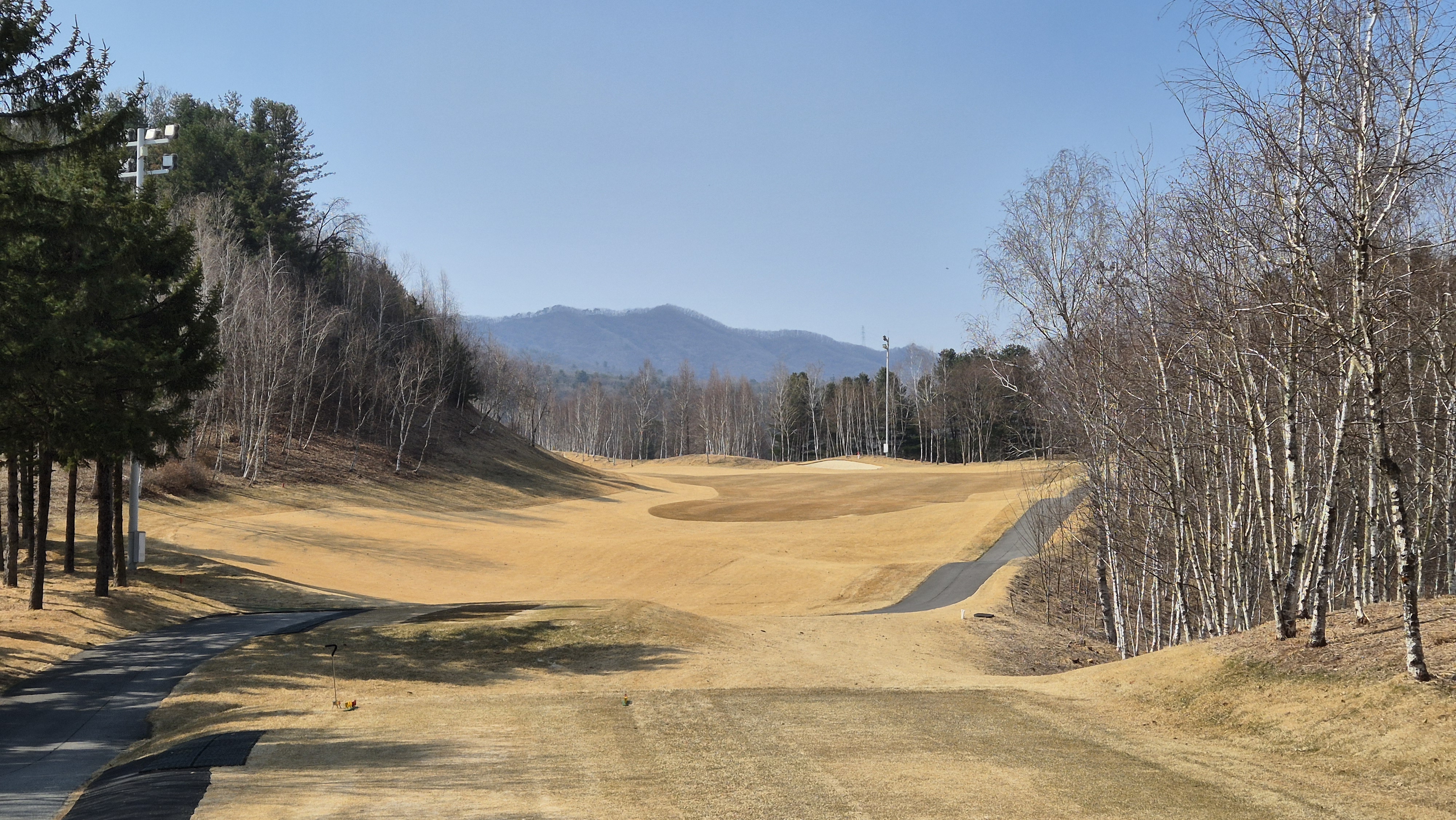 아난티코드gc 잣나무-느티나무 코스 사진 및 공략 정보