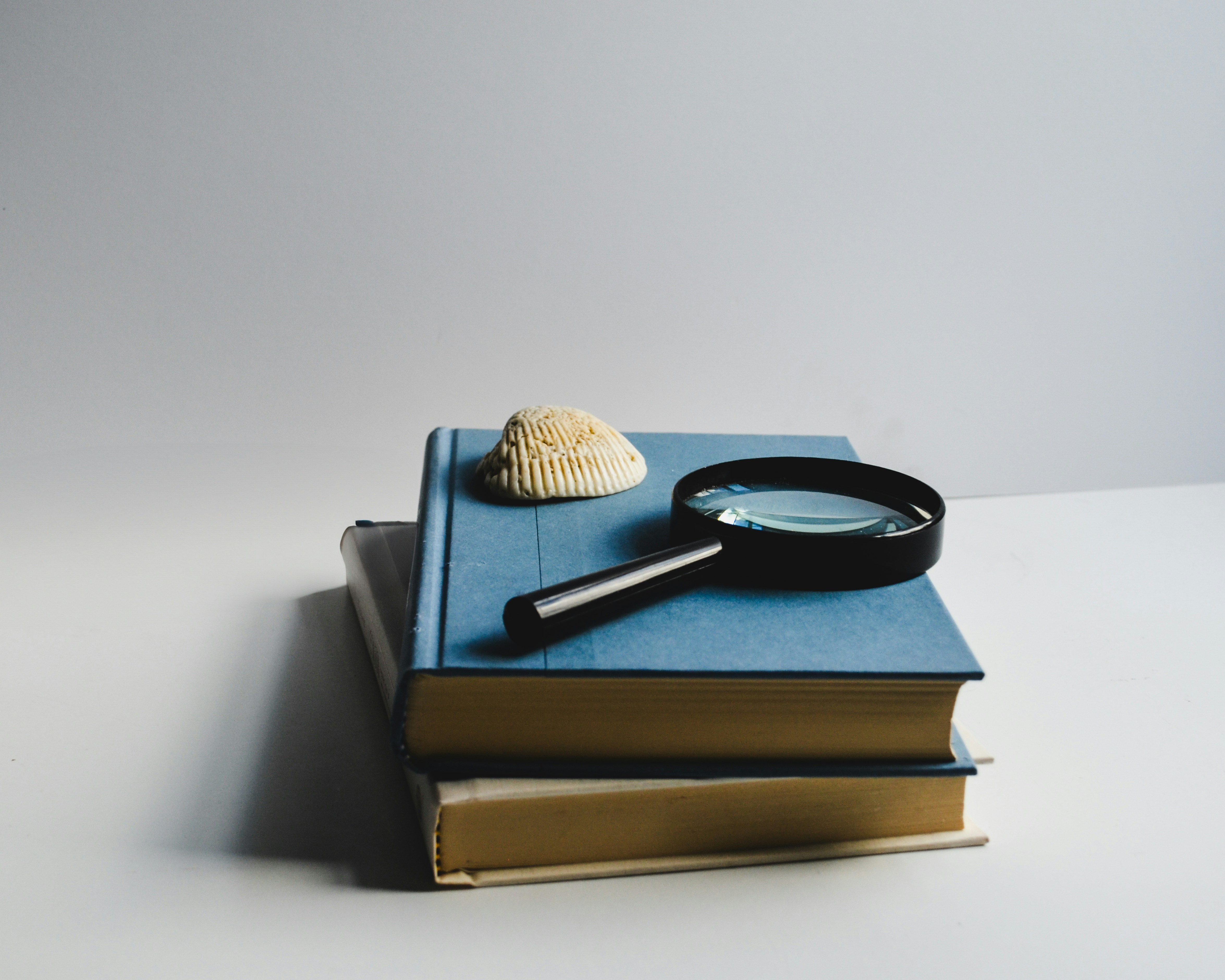 영어 원서 읽기 전략 – 모르는 단어 처리법을 상징하는 돋보기와 책