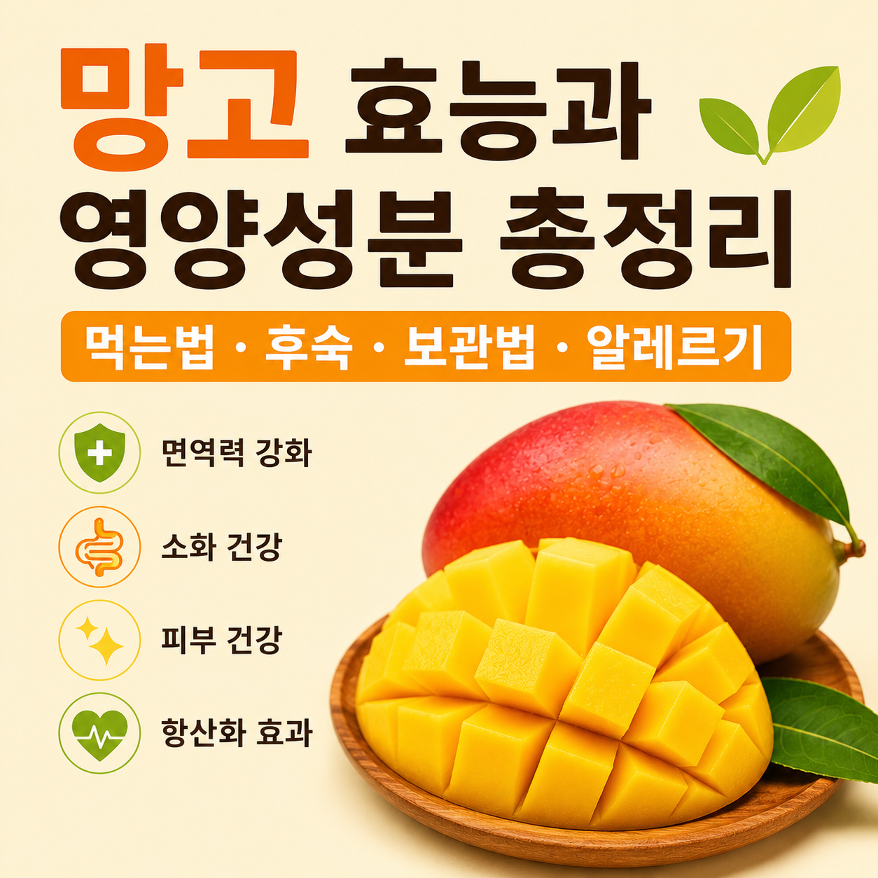 망고 효능
