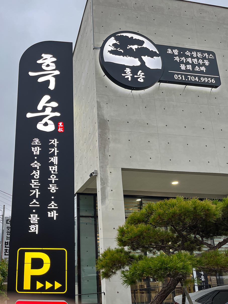 정관 흑송