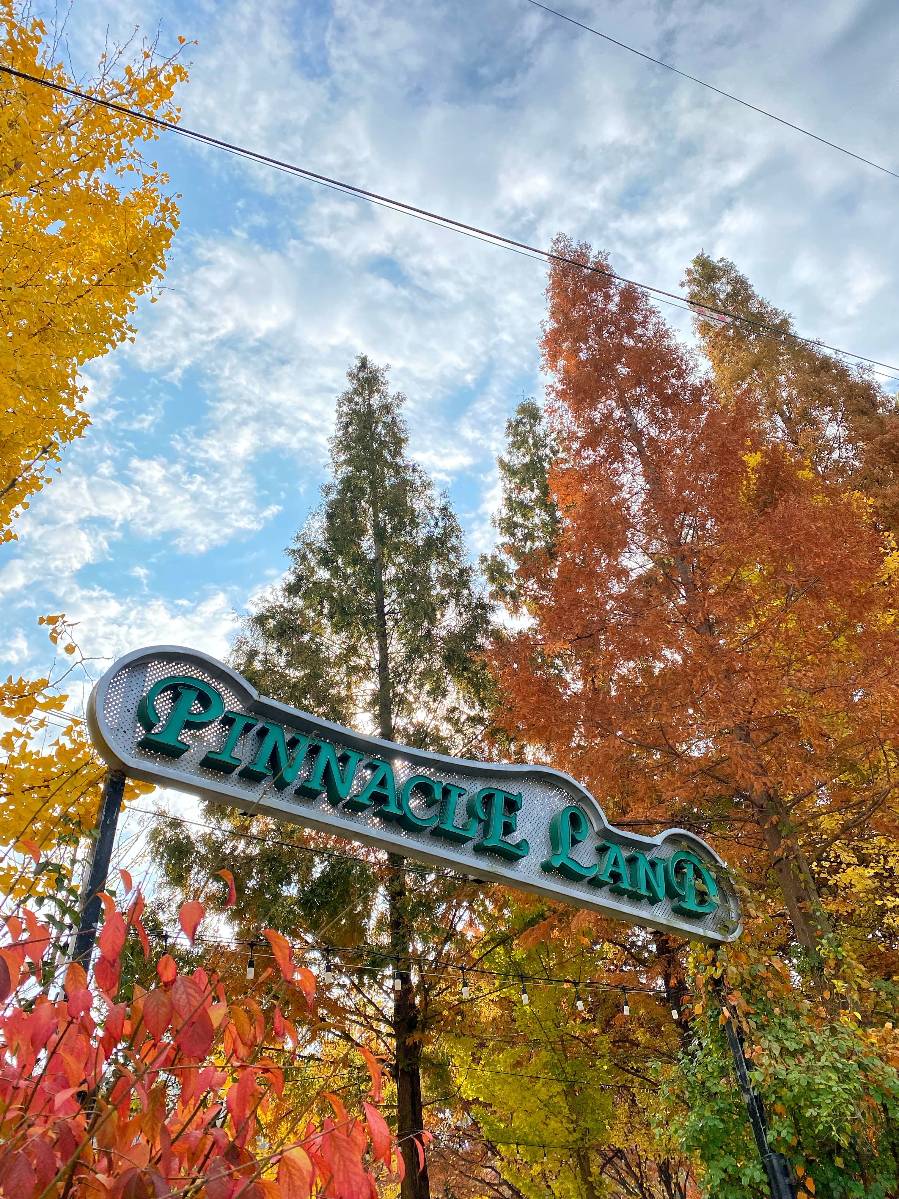 [충남 논산]사계절 내내 머물고 싶은 곳, 피나클랜드 수목원 이야기