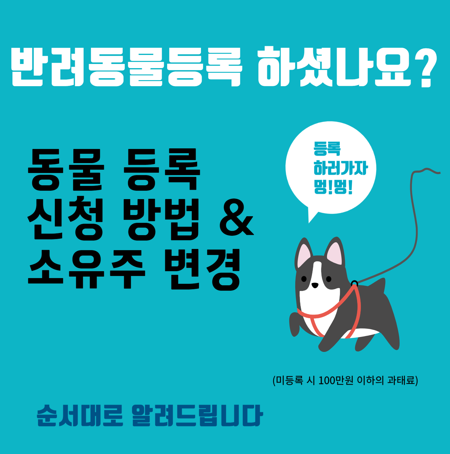 애견 등록