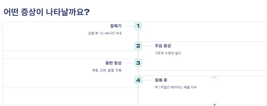 노로바이러스 증상