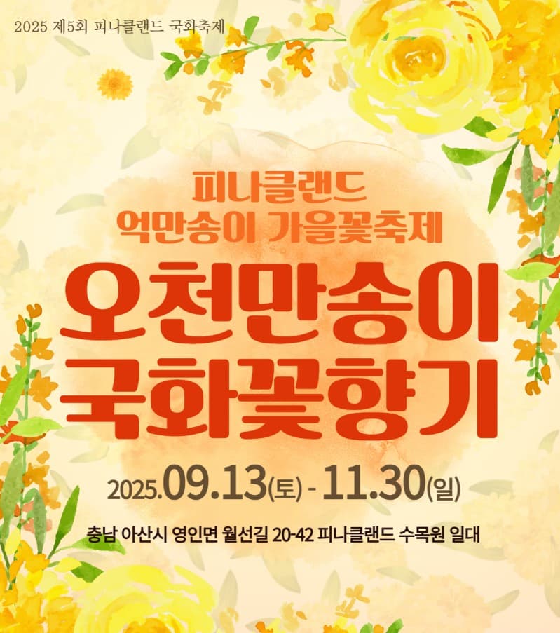 🌷 2025 피나클랜드 완벽 가이드
