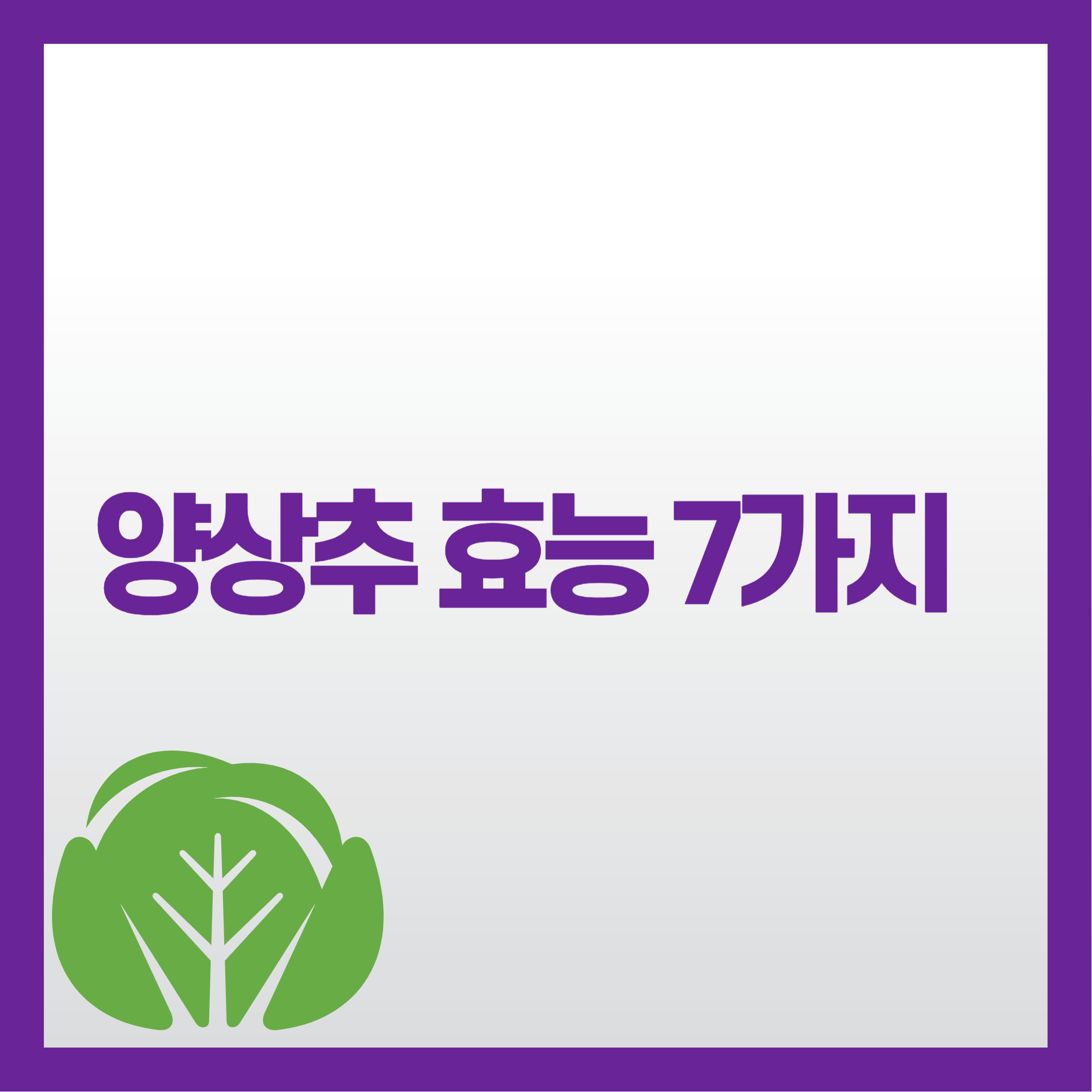 양상추 효능 7가지