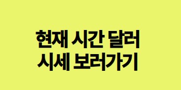 현재 시간 달러 시세