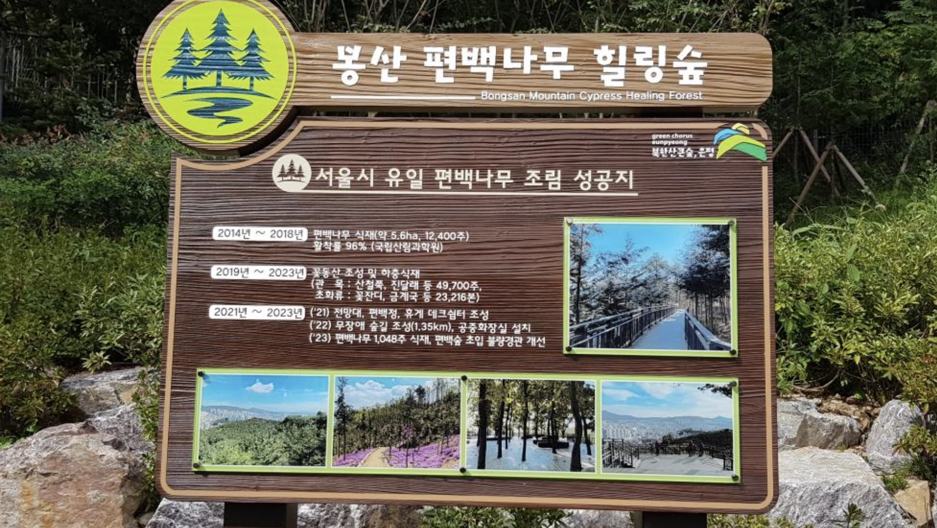 서울 봉산 편백나무 치유의 숲 전경