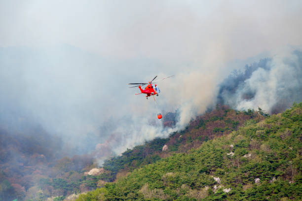 재난 관련 사진