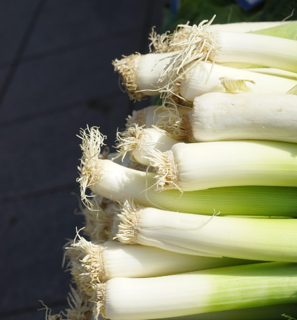 대파김치 마요덮밥 레시피 알아보자