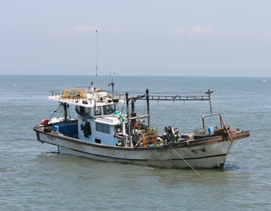 어업인 안전보험
