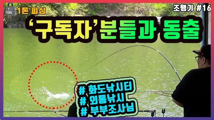 낚시 대상어 붕어 잉어 향어 입질 시간과 채비 팁_4