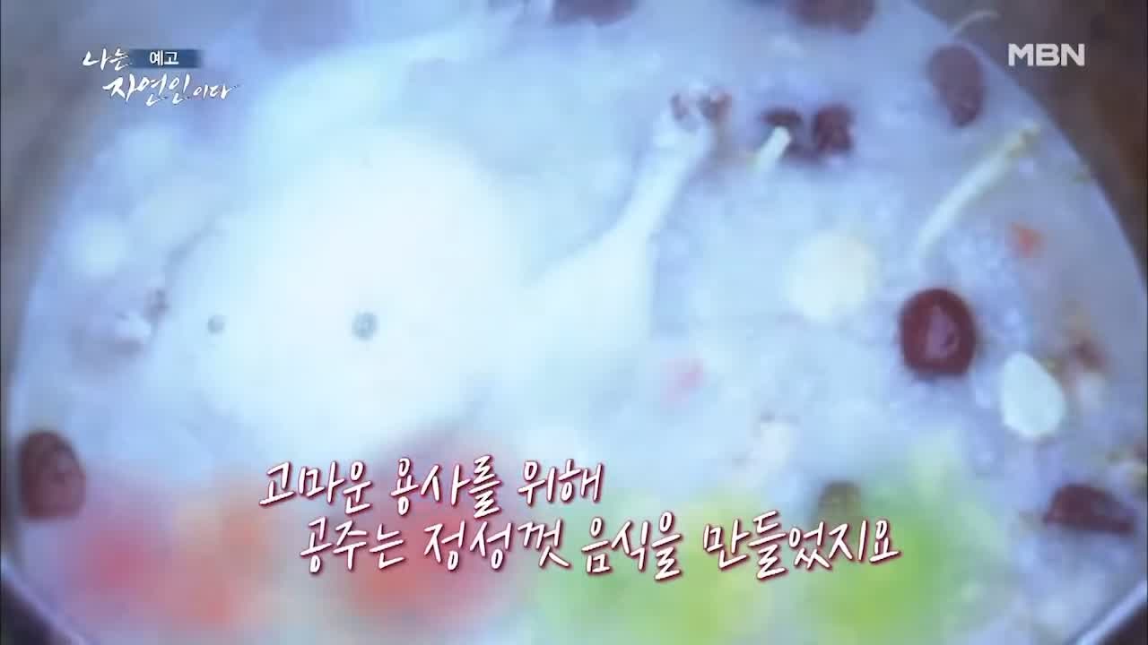 이승윤 윤택 나는 자연인이다 511회 나의 첫 독립일기 자연인 이영숙 소개 및 출연 다시보기