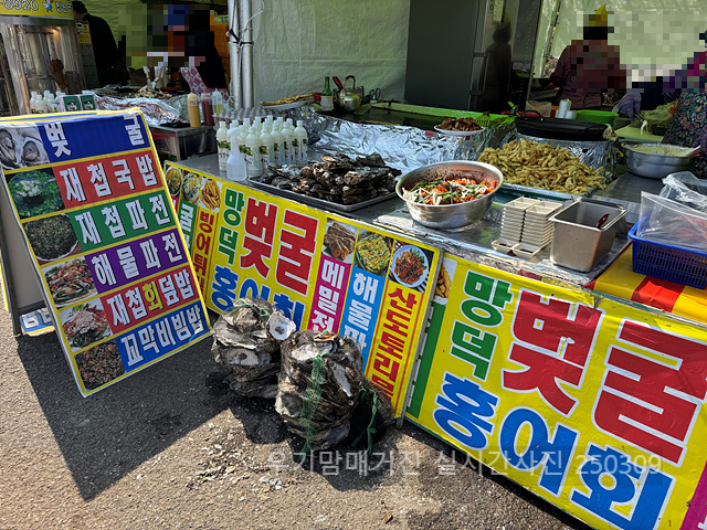 광양매화축제 실시간