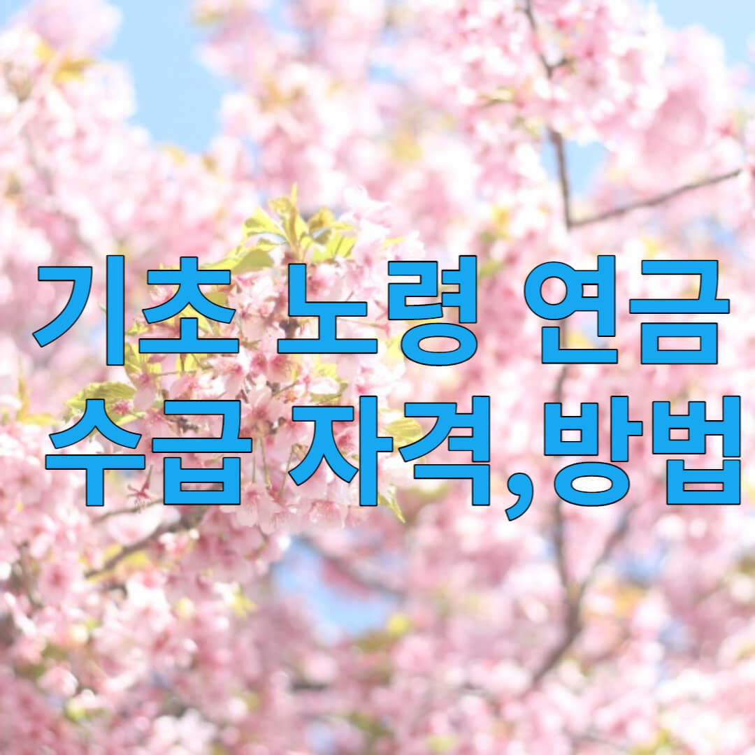 기초 노령 연금